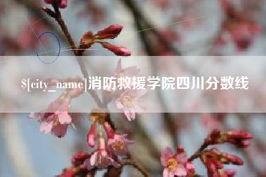 保山消防救援学院四川分数线