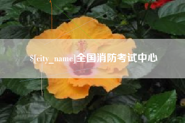 保山全国消防考试中心