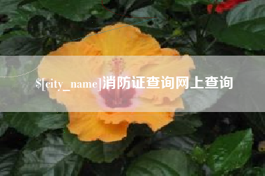 保山消防证查询网上查询