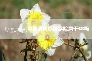 保山中国消防救援学院属于985吗