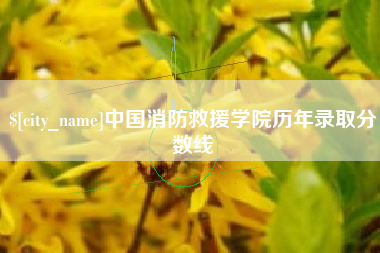 保山中国消防救援学院历年录取分数线