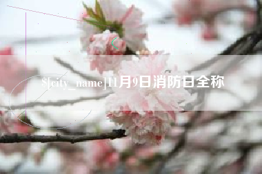 保山11月9日消防日全称