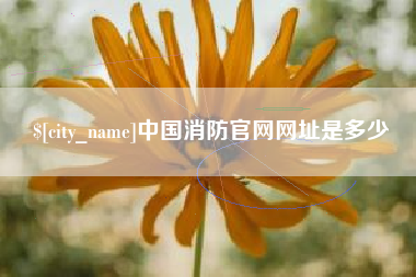 保山中国消防官网网址是多少