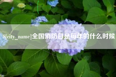 保山全国消防日是每年的什么时候