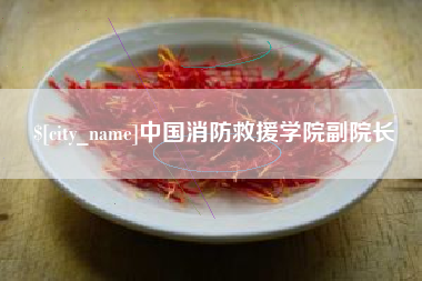 保山中国消防救援学院副院长