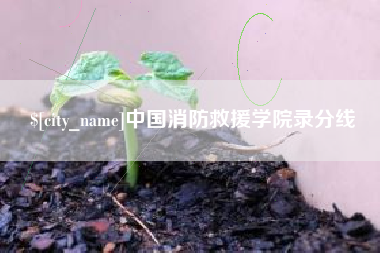 保山中国消防救援学院录分线