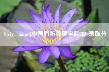 保山中国消防救援学院2020录取分