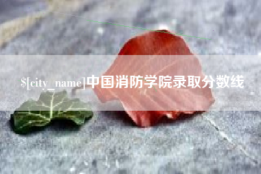 保山中国消防学院录取分数线