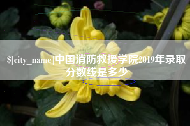 保山中国消防救援学院2019年录取分数线是多少