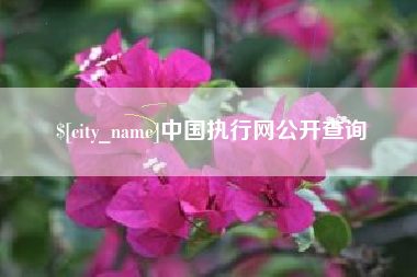 保山中国执行网公开查询