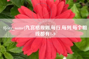 保山九宫格规则,每行,每列,每个粗线都有1-9