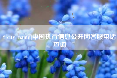 保山中国执行信息公开网客服电话查询