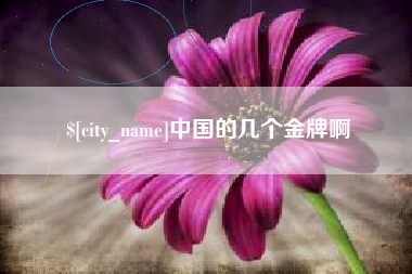 保山中国的几个金牌啊
