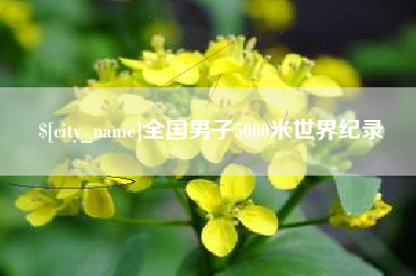 保山全国男子5000米世界纪录