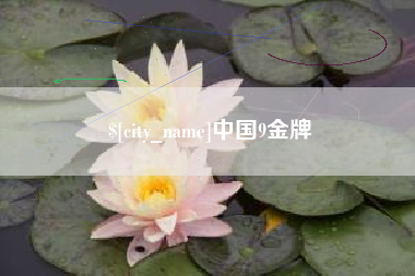 保山中国9金牌
