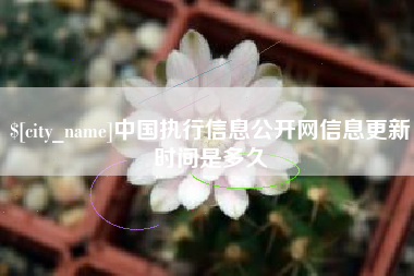 保山中国执行信息公开网信息更新时间是多久