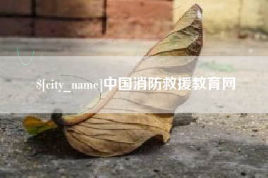 保山中国消防救援教育网