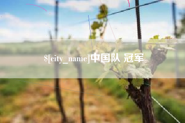 保山中国队 冠军