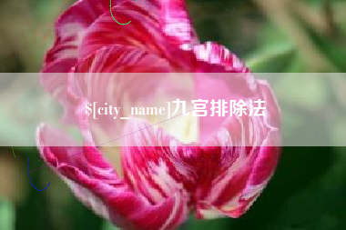 保山九宫排除法