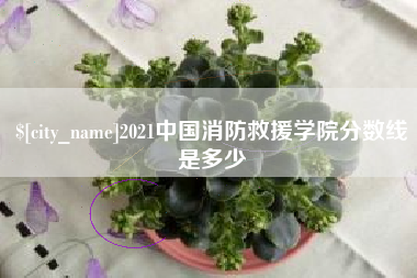 保山2021中国消防救援学院分数线是多少