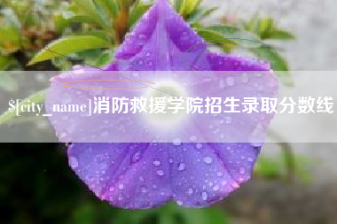 保山消防救援学院招生录取分数线