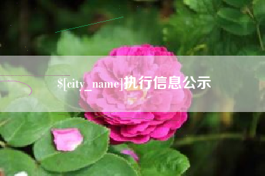 保山执行信息公示