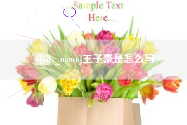 保山王子豪是怎么写
