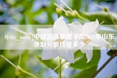 保山中国消防救援学院2021年山东录取分数线是多少