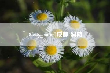 保山成都 消防