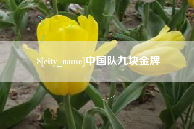 保山中国队九块金牌