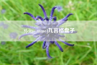 保山九宫格盘子