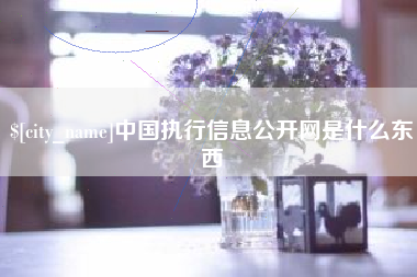 保山中国执行信息公开网是什么东西