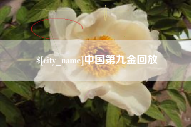保山中国第九金回放