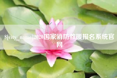 保山2020国家消防救援报名系统官网