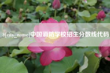 保山中国消防学校招生分数线代码