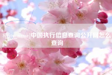 保山中国执行信息查询公开网怎么查询