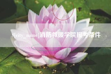 保山消防救援学院报考条件