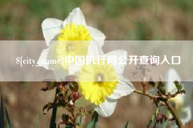 保山中国执行网公开查询入口