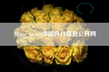 保山中国执行信息公开网