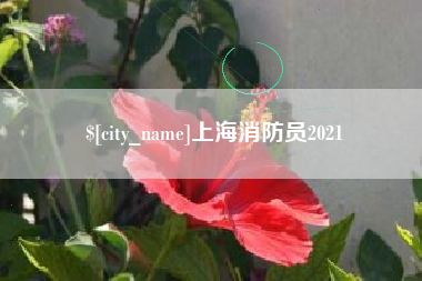 保山上海消防员2021