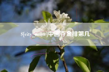 保山中国夺金排第几