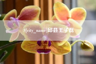 保山邱县王子磊