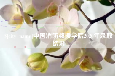 保山中国消防救援学院2020年录取结果