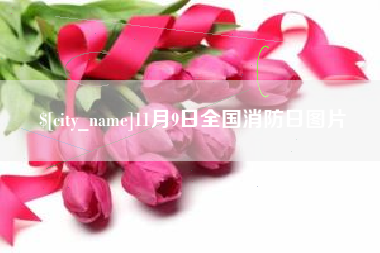 保山11月9日全国消防日图片