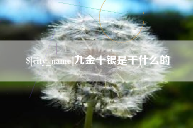 保山九金十银是干什么的