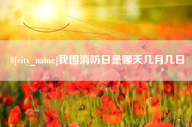 保山我国消防日是哪天几月几日