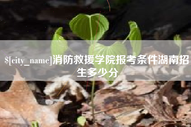 保山消防救援学院报考条件湖南招生多少分
