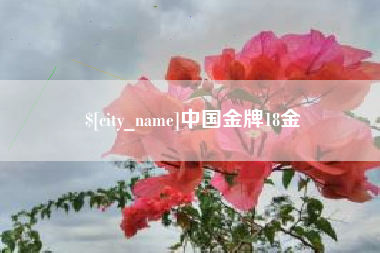 保山中国金牌18金