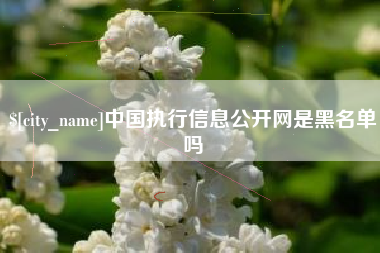 保山中国执行信息公开网是黑名单吗