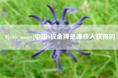 保山中国6枚金牌是哪些人获得的